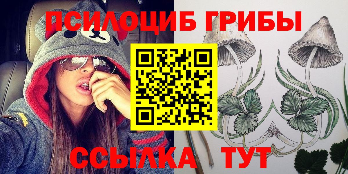 где продают   Вход с VPN  Богородицк  Галлюциногенные грибы мицелий 